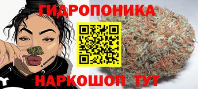 кокс Нальчик