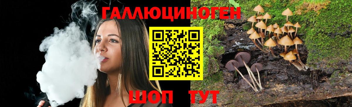 Россошь  Псилоцибиновые грибы ЛСД  Вход с VPN  Галлюциногенные грибы Psilocybe 