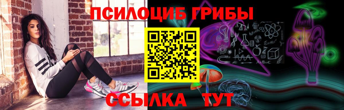 Галлюциногенные грибы Psilocybine cubensis Россошь